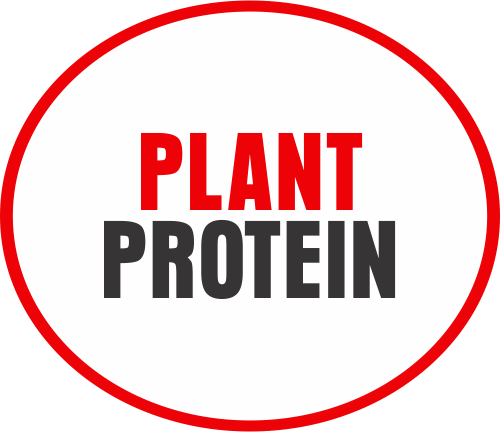 Plant Protein